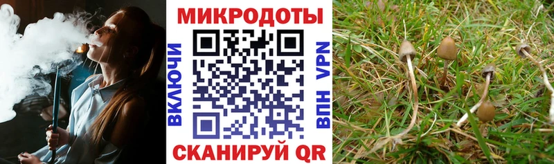 KRAKEN рабочий сайт  Миньяр  Галлюциногенные грибы мухоморы 